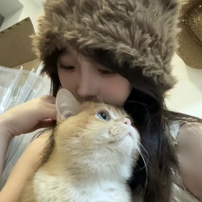 极岛森林第二季